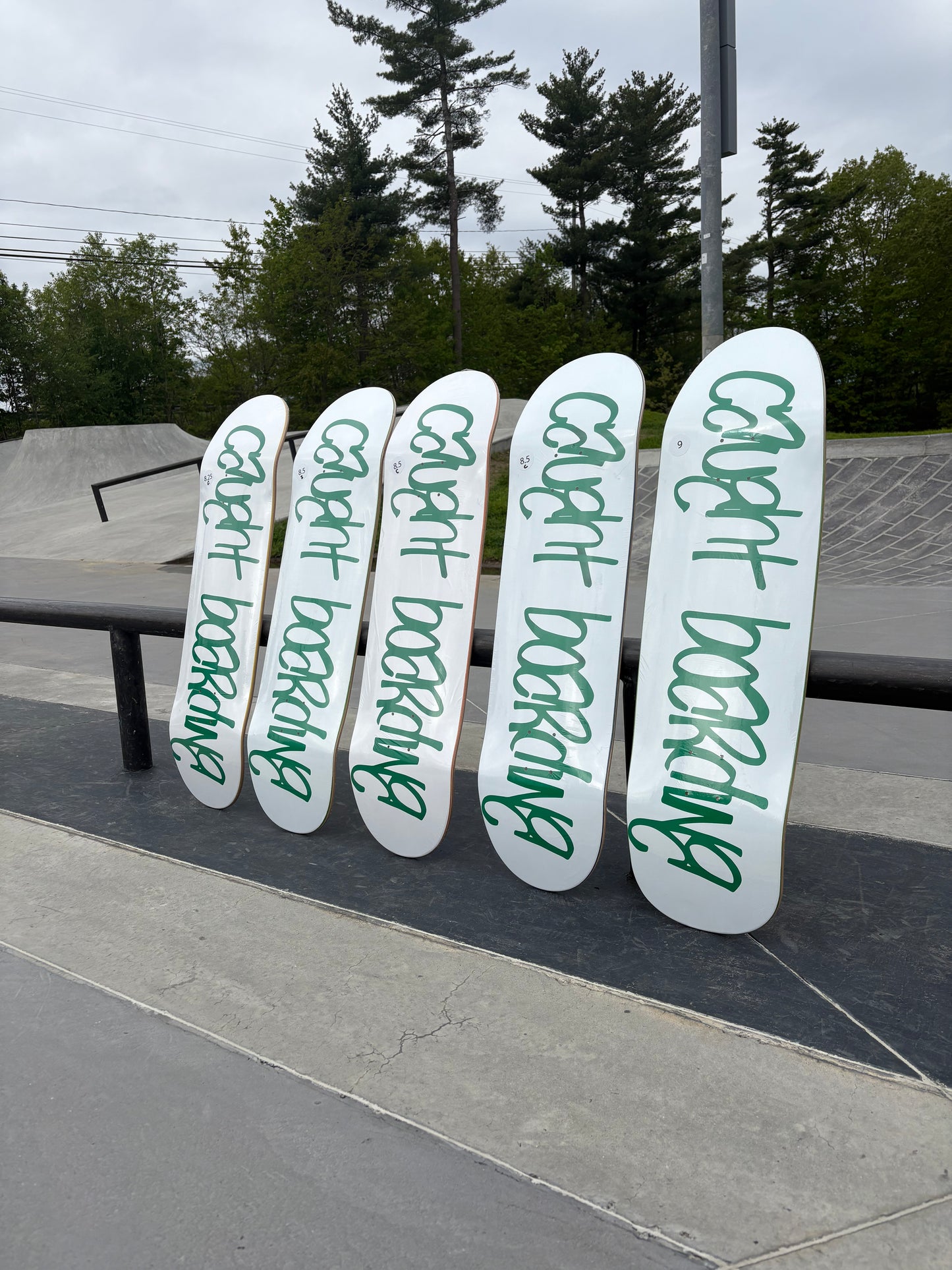 Skate Deck